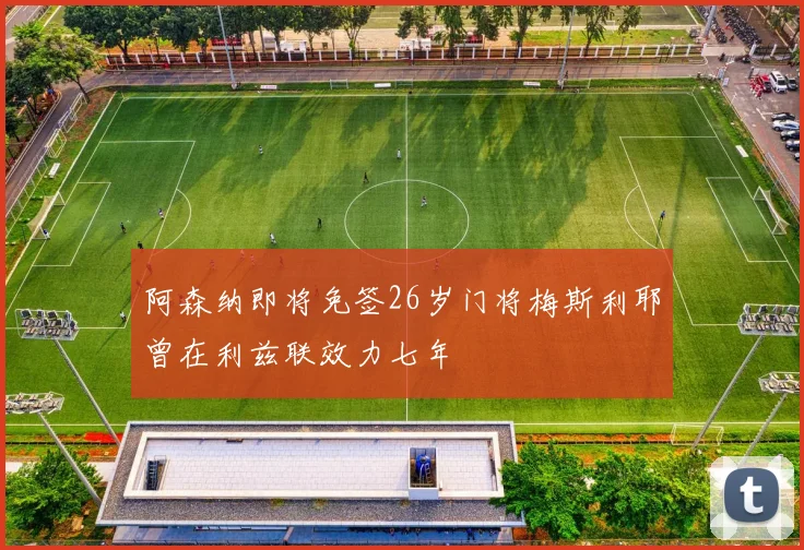 阿森纳即将免签26岁门将梅斯利耶曾在利兹联效力七年