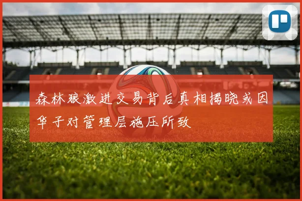 森林狼激进交易背后真相揭晓或因华子对管理层施压所致